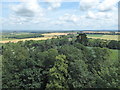 The view from Faringdon Folly 1: NE in SN7 8EW