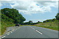 A356 towards Maiden Newton in DT8 3SQ