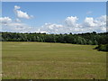 Grassland of Widford Road (B1004) in SG10 6EZ