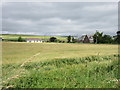 Field of barley at Middleton in KY13 0SD