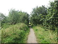 Bridleway along the River Maun in NG22 9WD