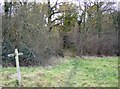 Entering Redcap Copse in GU34 4PR