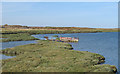 Decaying Boat, Barlinghall Creek nr Barling Marsh in SS3 0LU