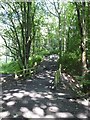 Steps and path in Watergate Forest Park in NE16 4RA