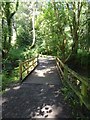 Footbridge over the Black Burn in NE11 0HR