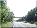 Footbridge over A3 south of Ridge Common in GU32 1AJ
