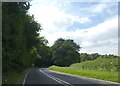 A272 entering Hanger Copse in GU32 1PJ