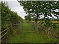 Bridleway beside the A1237 in YO32 9TH