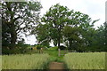 Bridleway along a ridge in High Leicestershire in LE7 9JE