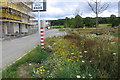 Wild flowers and new building in Graven Hill in OX25 2EE