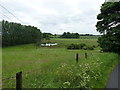 Marsh and pool behind the Diageo site in KY8 5EL