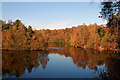 Autumn Colours in Swanholme Lakes in LN6 0DR