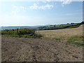 Farmland above Blackmoor Wood in TA18 8QP