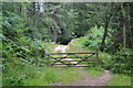 Gate on footpath in Ampfield Wood in SO21 2JL