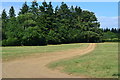Track in field south of Ampfield Wood in SO51 9BP