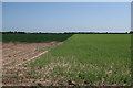 Crop boundary off North Drove in PE12 9NA