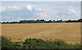 Arable Land near Halfway House Farm, Little Wakering in SS3 0AG