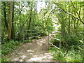 Bridleway bridge, Bell's Copse in PO9 4JX