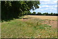 Field edge beside Fullerton Road in SP11 7PW