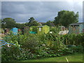 Church Road allotments in BS36 2NA