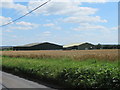 Barns for grain storage at Brookhampton Farm in DY13 9TA