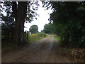 Farm track off Bury Green Road in EN7 5AL