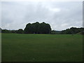 Recreation ground off Appleby Street, Cheshunt in EN7 6QJ