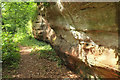 Sandstone cliff, Badger Dingle in WV6 7JW