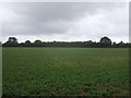 Farmland off Church Lane, Watton at Stone in SG14 2RJ