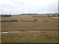 Farmland off Walkern Road in Aston, Datchworth & Walkern Ward