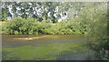 River Usk at Llanbadoc in NP15 1TA
