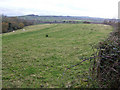 View west of Winyard's Gap in DT8 3HU