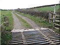 Footpath and farm track in TA16 5AF