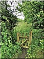 Beyond this gate is an overgrown path in DE55 6ES