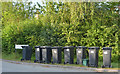 Bins out for collection, Silver Street, Fernham in SN7 7PB