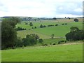Hillside below High Harberwain Farm in Crosby Ravensworth