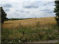 Crop field off Radlett Road, Colney Street  in AL2 2FL