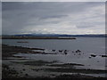 Firth of Forth shoreline in EH5 3ED