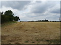 Stubble field, Woodside in LU1 4FZ