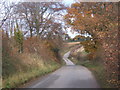 Autumnal view of lane to Higham in IP28 6NJ