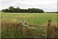 Footpath towards Twyford in MK18 4EJ