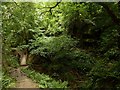 Footbridge, Ecclesbourne Glen in TN35 5NT