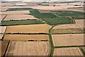 Cropmark, Grimoldby Ings: aerial 2019 in LN11 7ST