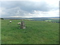 Trig pillar on Lower Hill in BB8 7EG