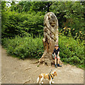 Lion in Banstead Wood in CR5 3NA