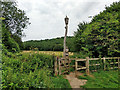 Lucy and lamp post by Banstead Wood in CR5 3NA