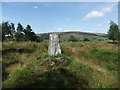 Trig pillar on Black Hill in BB7 9HA