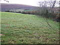 View south from Windy Ash road in EX32 0HY