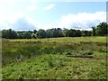 Marshy field above Scale Beck in CA16 6TH
