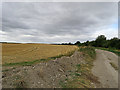 Harvest time at the edge of The Fens in CB21 5BW
